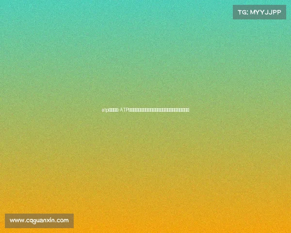 atp什么比赛-ATP网球赛事深度解析：全面介绍巡回赛历史规则与球星风采